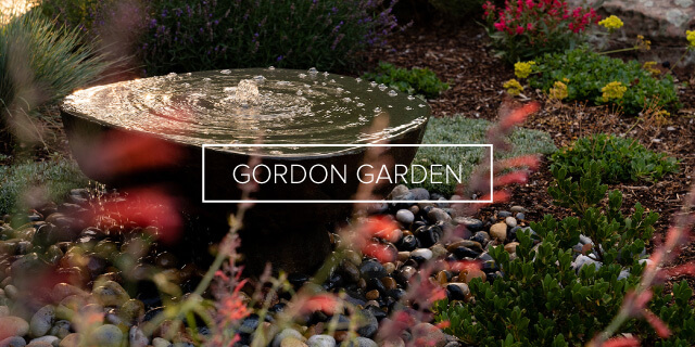 GORDON GARDEN