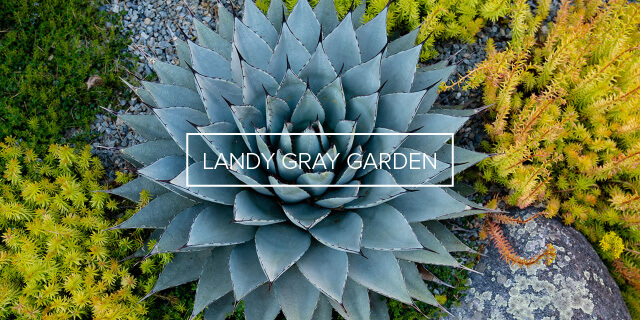 LANDY GRAY GARDEN